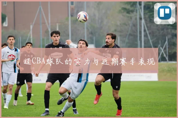 辽CBA球队的实力与近期赛季表现