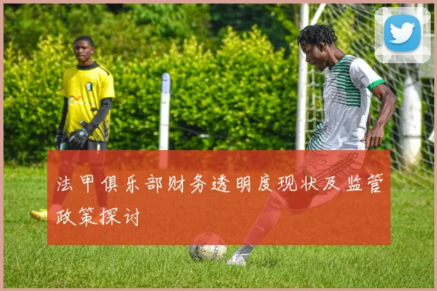 法甲俱乐部财务透明度现状及监管政策探讨