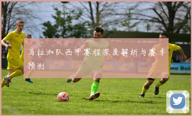 马拉加队西甲赛程深度解析与赛季预测