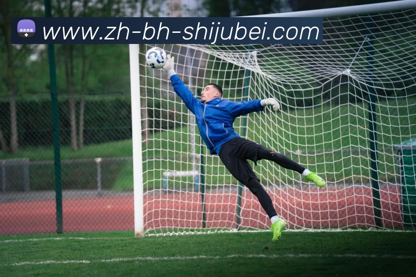 世界杯赛程表平台生态图