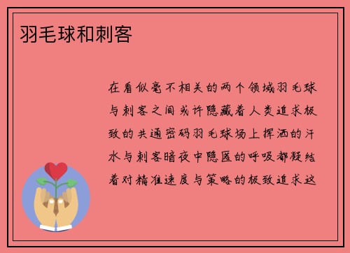 羽毛球和刺客