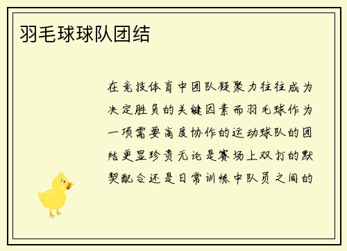 羽毛球球队团结